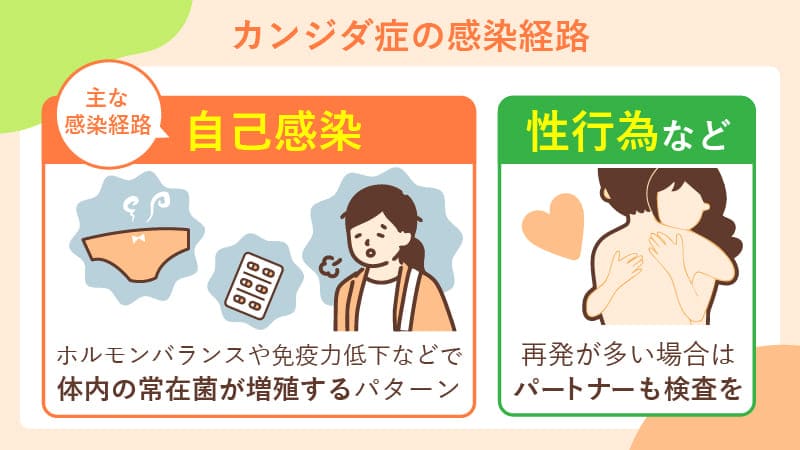 カンジダ症の感染経路
