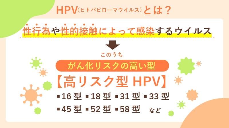 子宮頸がんの原因となる高リスク型HPV