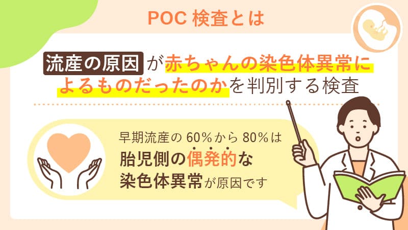 流産絨毛染色体検査（POC検査）とは